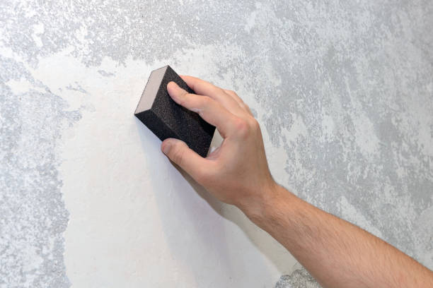 Best Water Damage & Mold Remediation  in Grover Beach, CA
