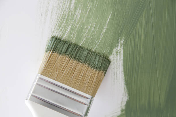Best Forensic Mold Investigation  in Grover Beach, CA