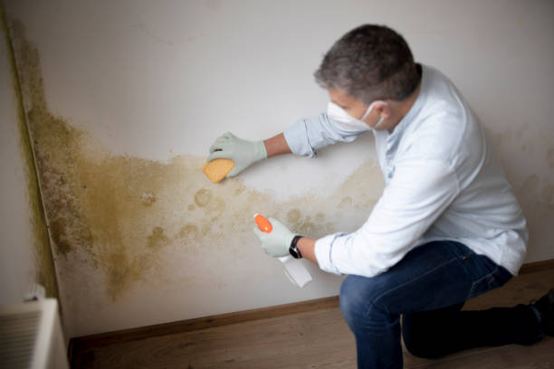 Best Residential Mold Inspection & Testing  in Grover Beach, CA