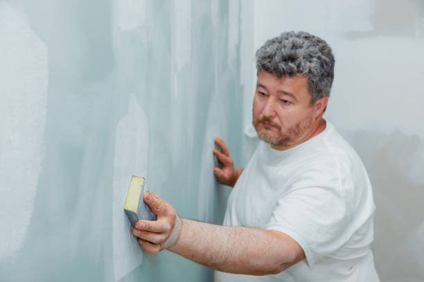 Best Black Mold Removal  in Grover Beach, CA