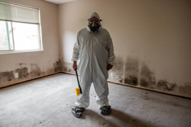 Best Industrial Mold Remediation  in Grover Beach, CA