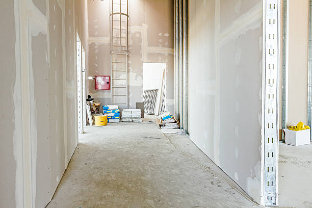 Grover Beach, CA Mold Removal Company